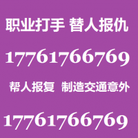 专业帮人打人联系方式17761766769