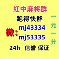 雁过留声谁有一元一分广东红中麻将（平等对待）