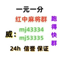 春华秋实正规24小时一元一分红中麻将跑得快群(真人游戏）
