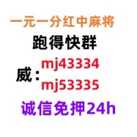 （全天在线）一块红中麻将群（24h营业）