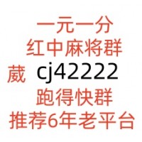 最新1元1分红中麻将群团结