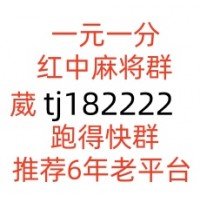 广东一元一分红中麻将群早春