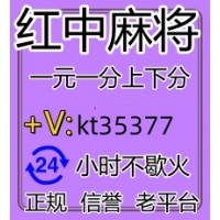 正规的千人大群红中麻将群