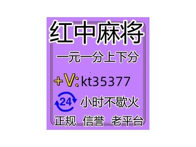 重大新闻怎么找一块红中麻将群