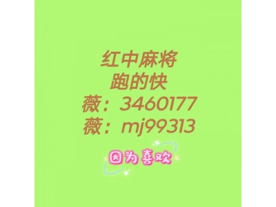 （心岛初晴）正规24小时一元一分红中麻将跑得快麻将群
