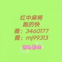 （心岛初晴）正规24小时一元一分红中麻将跑得快麻将群