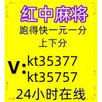 【盘点一下】24小时免押一元一分广东红中麻将群