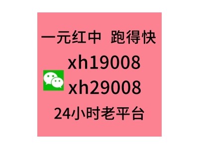 广东红中赖子一元一分麻将群
