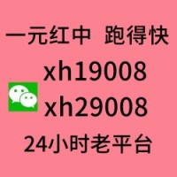 广东红中赖子一元一分麻将群