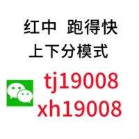 一元一分15张跑的快
