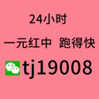 谁有广东红中麻将群