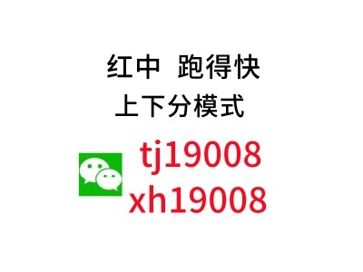 一元一分微信红中麻将