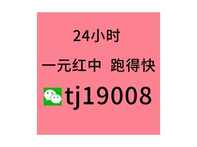24小时正规1元1分跑得快群
