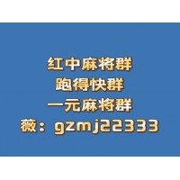 一元一分24小时麻将群
