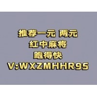 24小时上下分红中麻将群