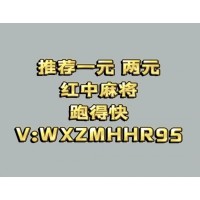 广东正规红中麻将一元一分