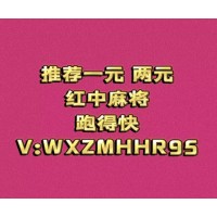 广东红中一元麻将群