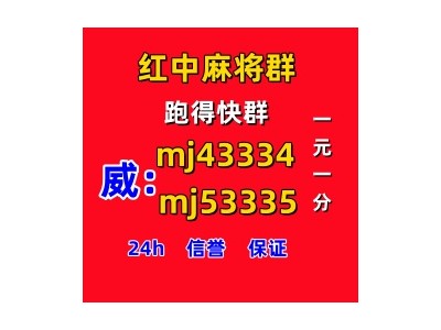 春兰秋菊广东红中麻将一元一分（24h信誉）
