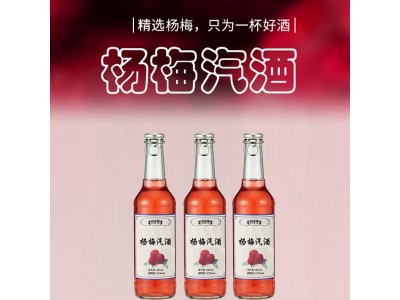 杨梅汽酒配制酒露酒生产灌装山东庆葆堂