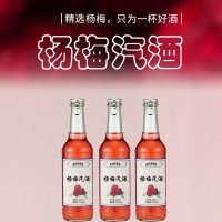杨梅汽酒配制酒露酒生产灌装山东庆葆堂