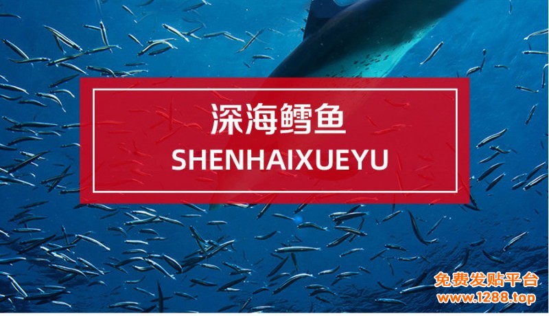 胶原蛋白肽-详情页_03