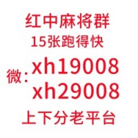 （真人现场）哪里有一元一分广东红中麻将微信群