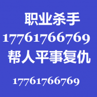 怎么找打手报复出气找杀手17761766769