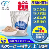 甘度反硝化菌种污水处理菌剂降总氮微生物厌氧有效活菌≥200亿