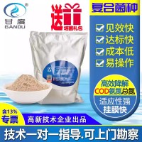 甘度污水处理复合菌种降COD氨氮总氮好氧厌氧微生物菌剂