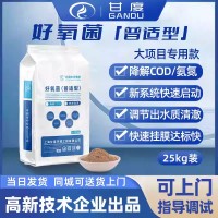 甘度好氧菌种生活污水处理氨氮降解菌剂微生物菌剂