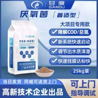 甘度厌氧菌种污水处理厌氧菌剂降解总氮脱氮菌种厌氧池专用菌