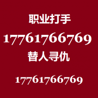 杀手打手专业替人办事打架17761766769