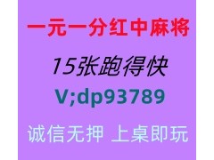【怡然自乐】红中麻将一元一分@快速解答