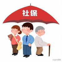 如何选择合适的东莞社保代缴机构，东莞社保外包，东莞人事外包