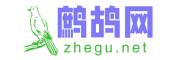 鹧鸪网