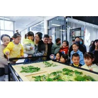 苏州三六六青少年趣味实践营｜喂蚕缫丝+桑葚采摘火热报名中