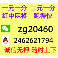 [天南地北]红中麻将跑得快群@技巧解读