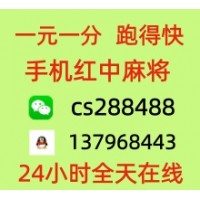 【学而不厌 】24小时不熄火 一块红中麻将群 跑得快