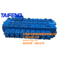 山东泰丰多路阀的销售