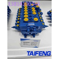 山东泰丰智能TRM20E-BX-08流量共享型多路阀