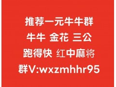 云汐：24小时不熄火广东麻将群- 网易