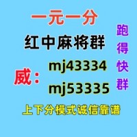 详细解说麻将一元一分群（平等对待）