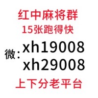 免押广东红中赖子安徽