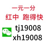 红中麻将一元一分哪里找