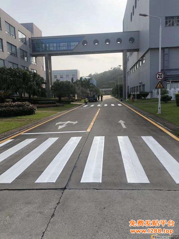 6厂区划线 咨询电话:18951744567