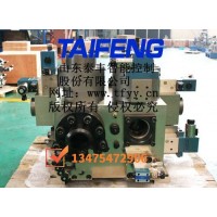 专业供应YT32-500BCV-DB单泵，均为Dg25