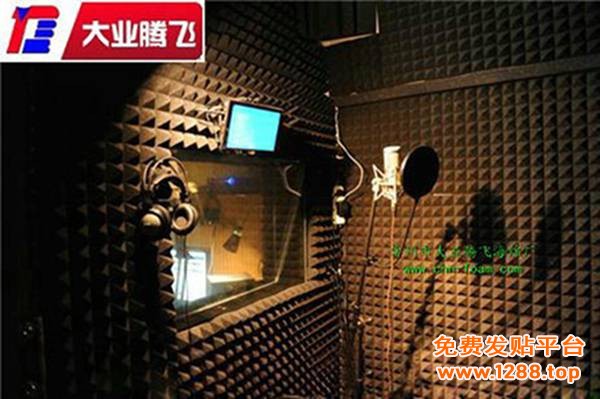 BD消音016