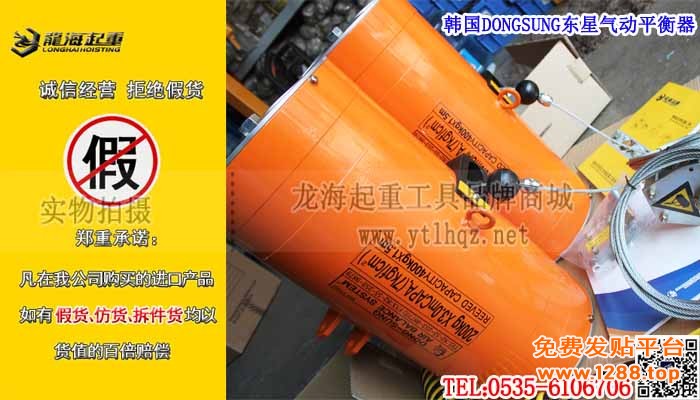 韩国DONGSUNG东星气动平衡器单条大图