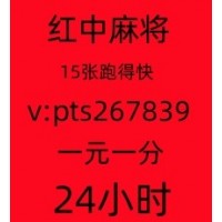 揭秘正规全天24小