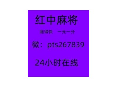 详细理解一元一分红中麻将跑得快@2025已升级